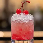 Radisson Blu Hotel, Hotel