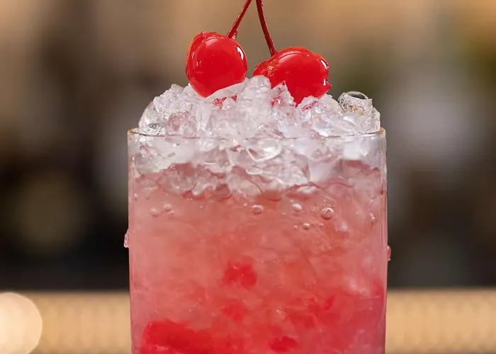 Radisson Blu Hotel, Hotel