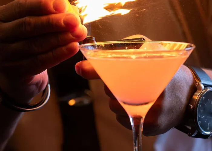 Radisson Blu Hotel, Hotel